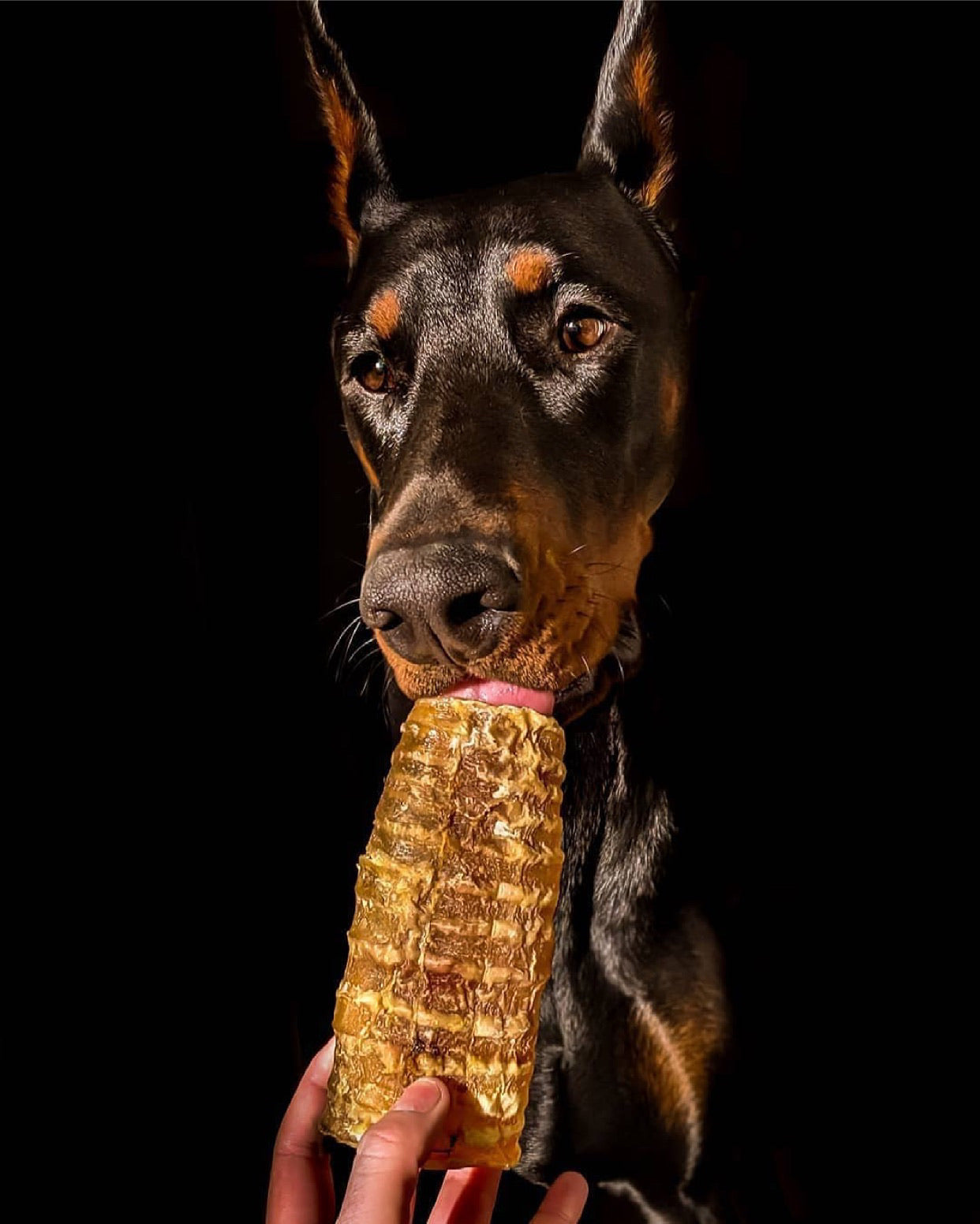 Beef Trachea (Grass Fed & Finished)