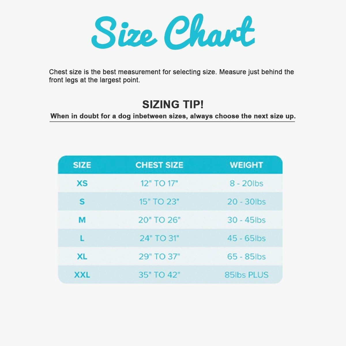 ZenPet Compression Shirt