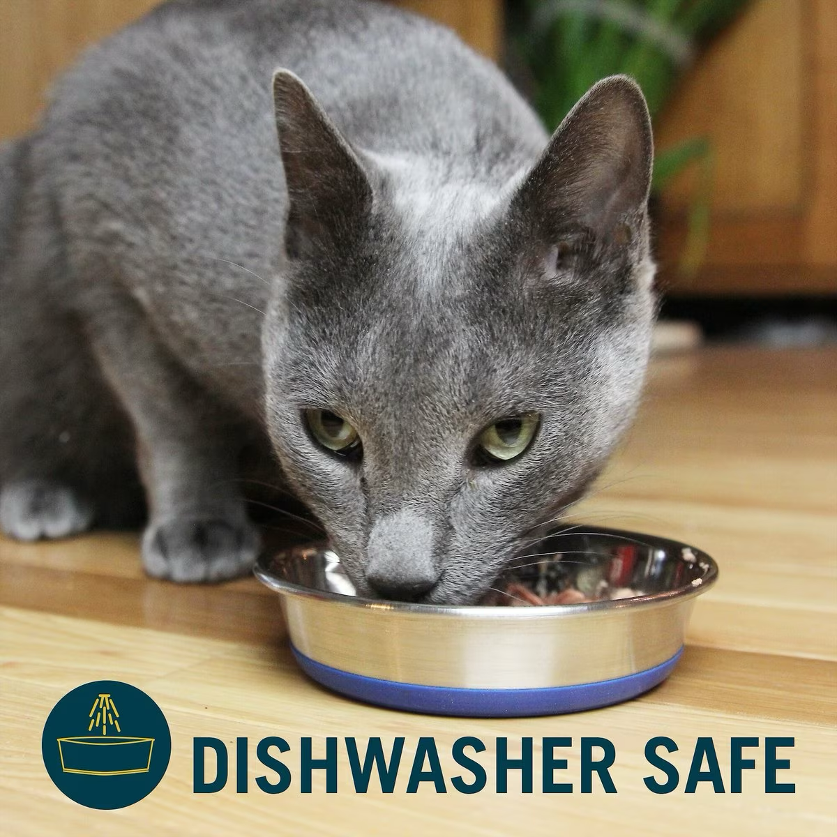8oz Our Pets Durapet Cat Dish