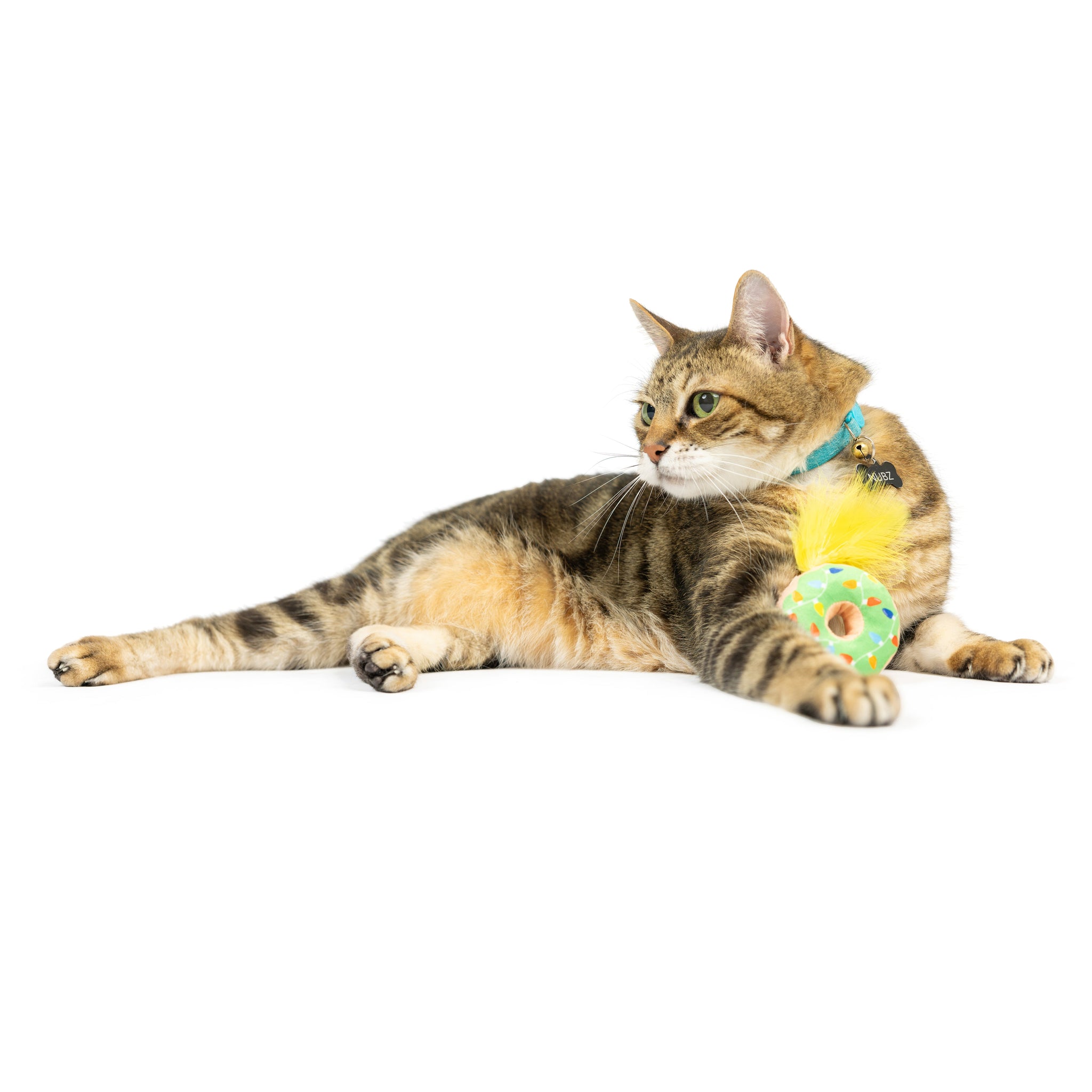 Huxley & Kent Cat Lit Donut