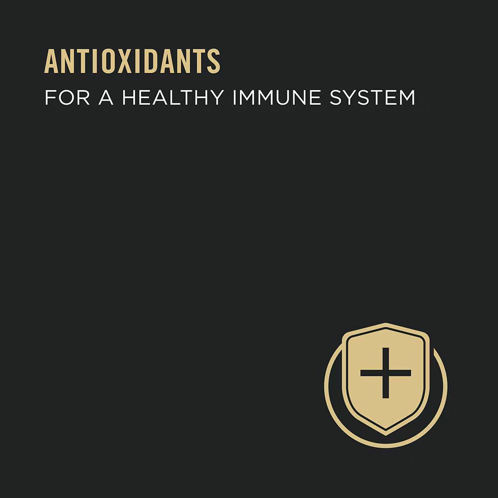 Proplan Hairball Salmon Entree Wet Cat Food 3oz