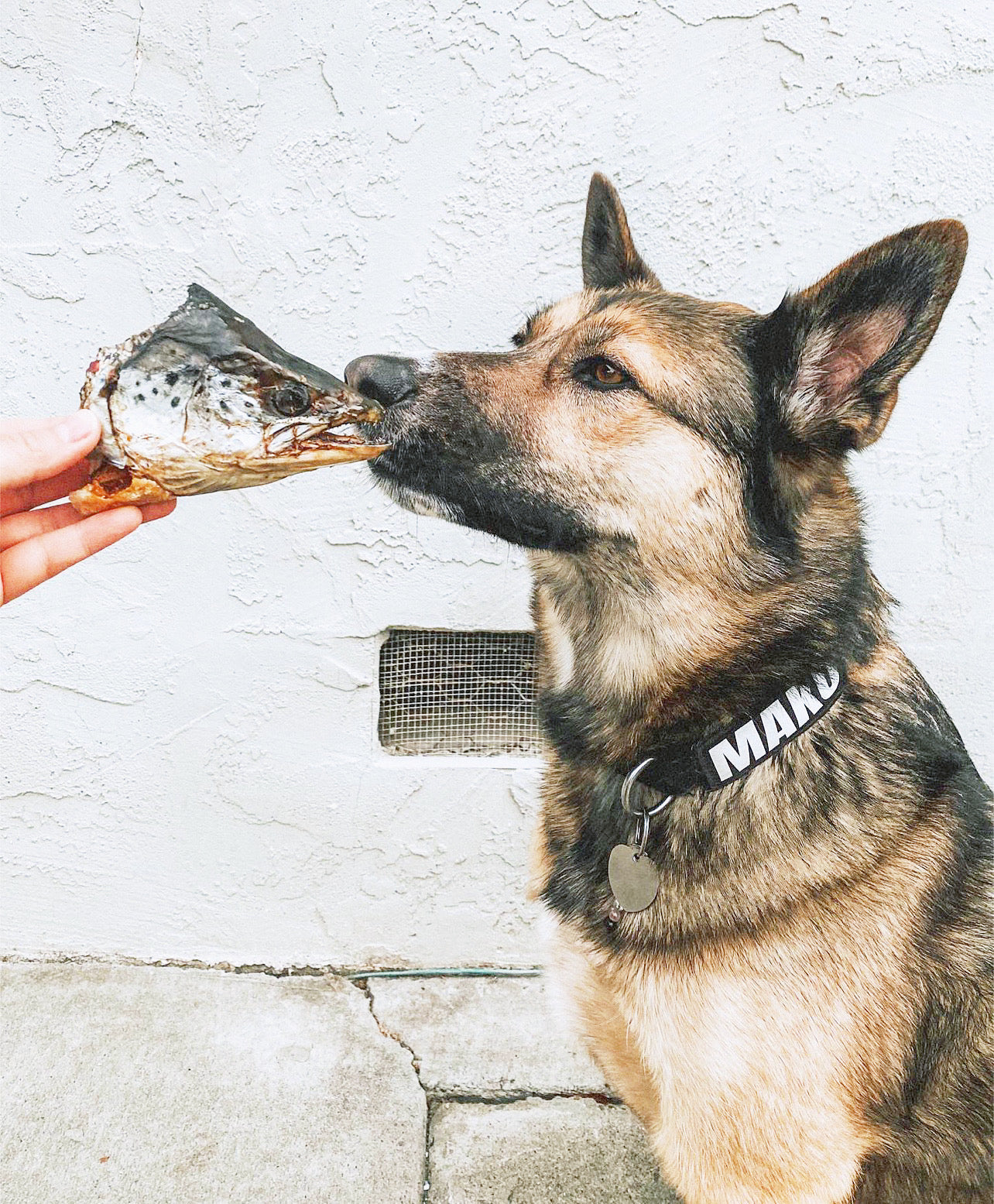 Salmon Head (2 Halves/Farm Raised)