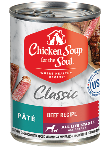 Sopa de pollo de 13 oz All Life Stages Paté de res Comida húmeda para perros