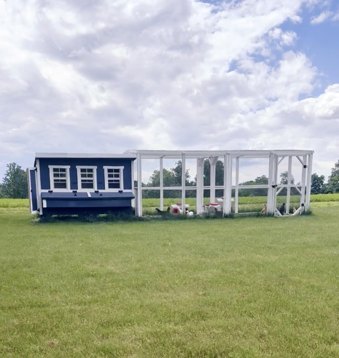 XL Chicken Coop - Up to 20 Chickens