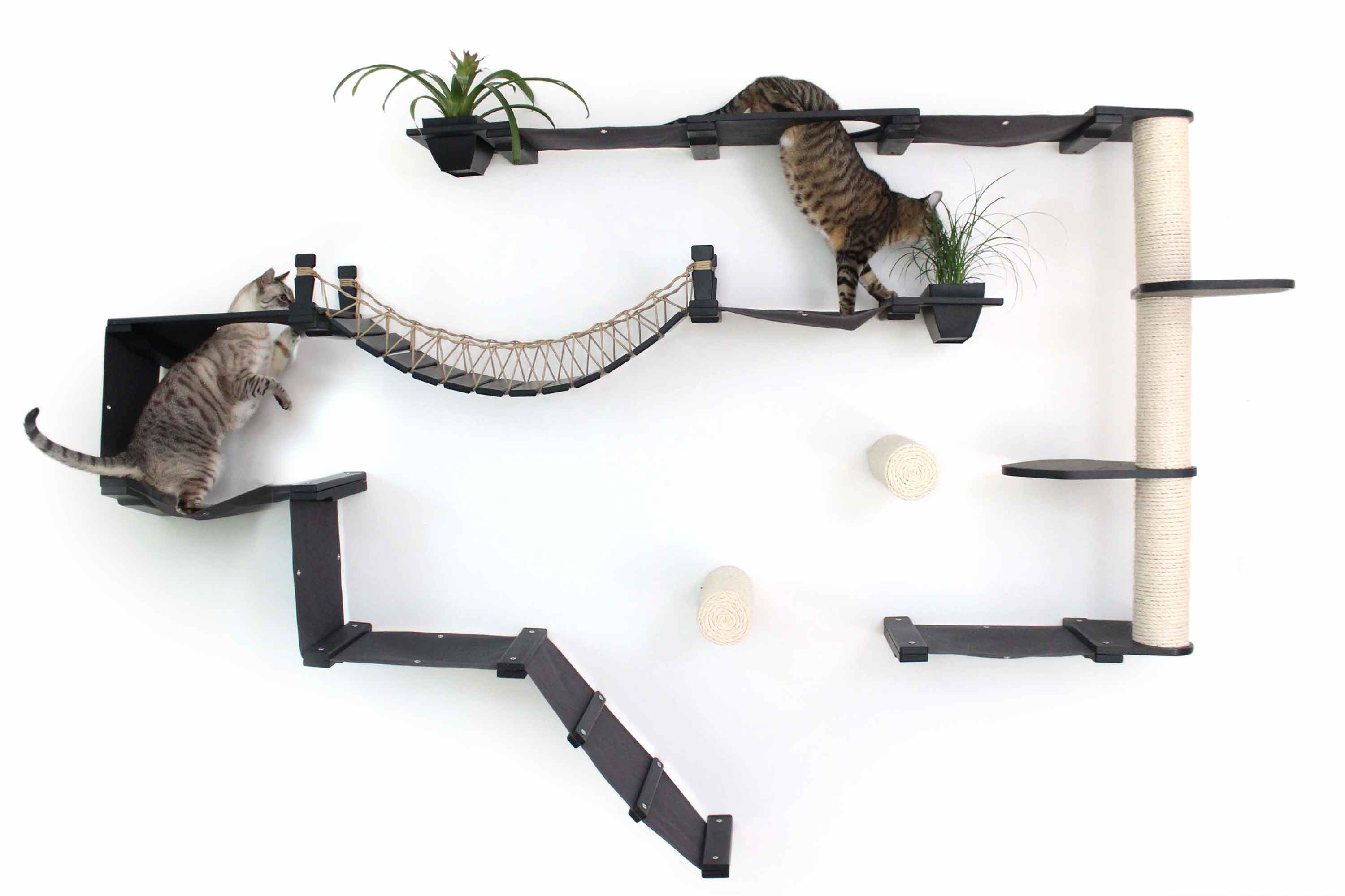 The Juggernaut - Indoor Cat Playground for Wall
