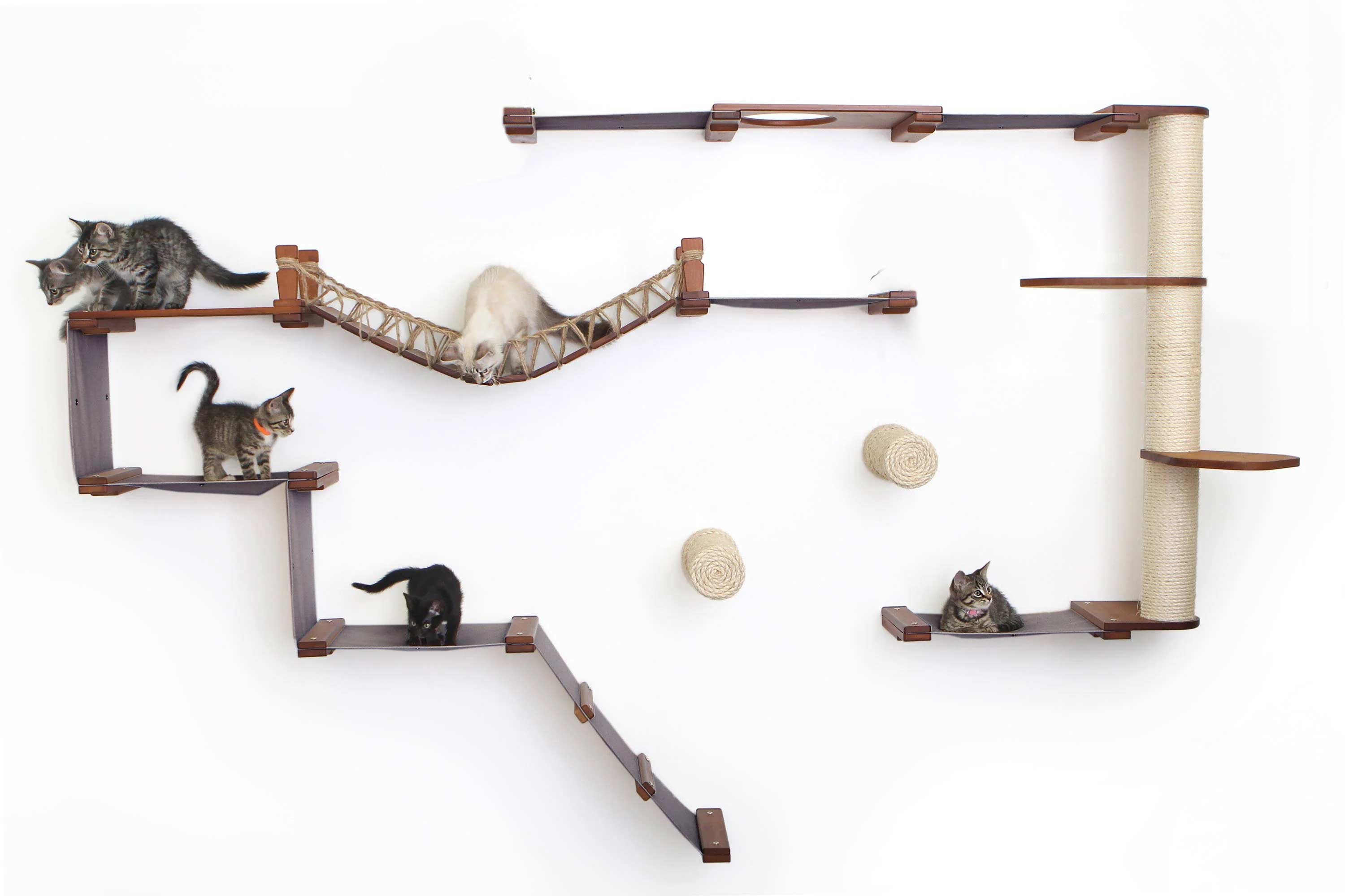 The Juggernaut - Indoor Cat Playground for Wall