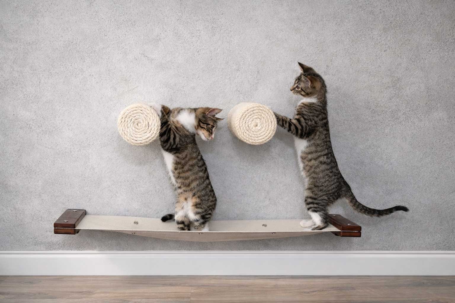 Hanging Cat Bed Hammock