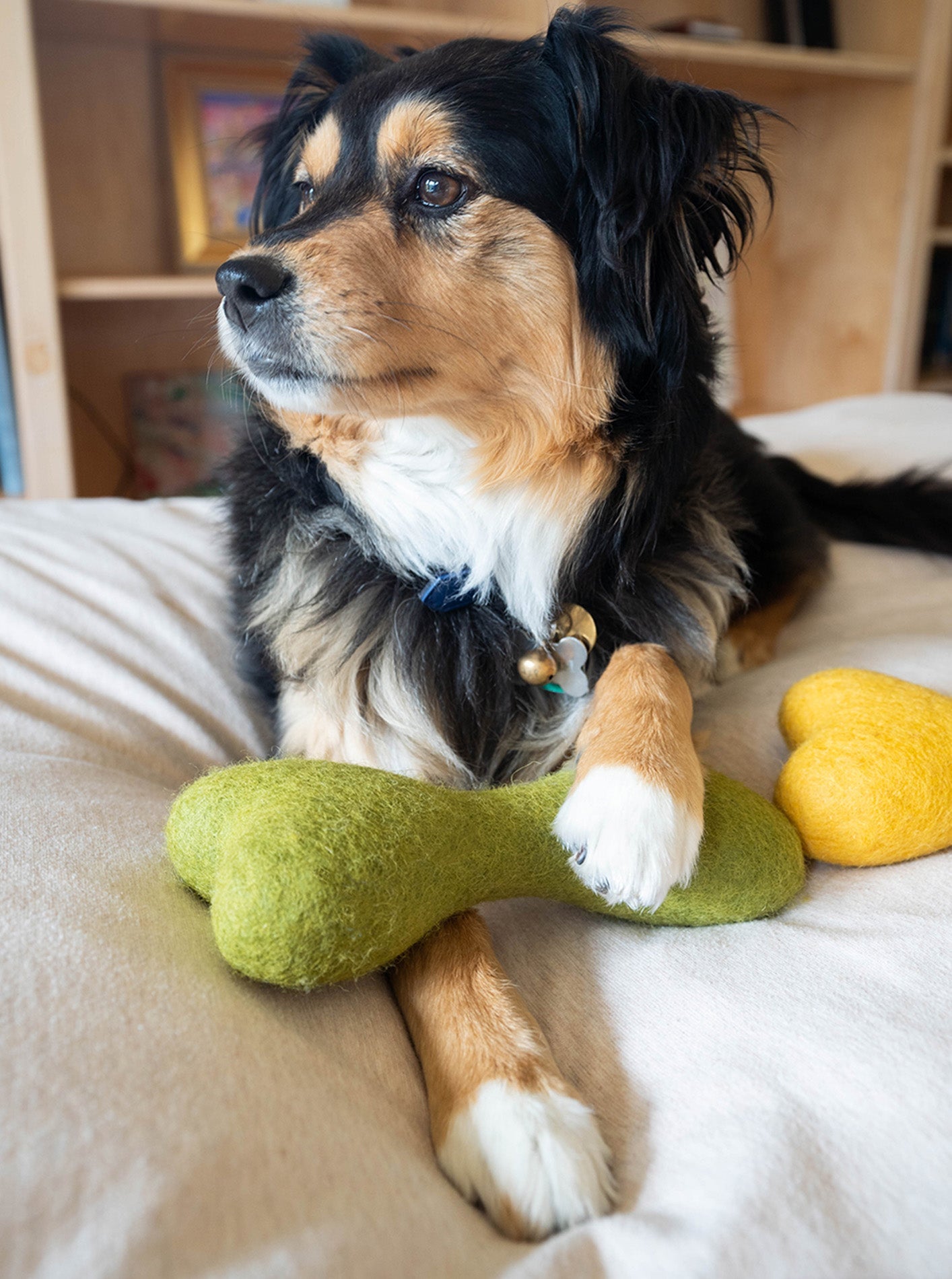CLASSIC WOOLBONE DOG TOY
