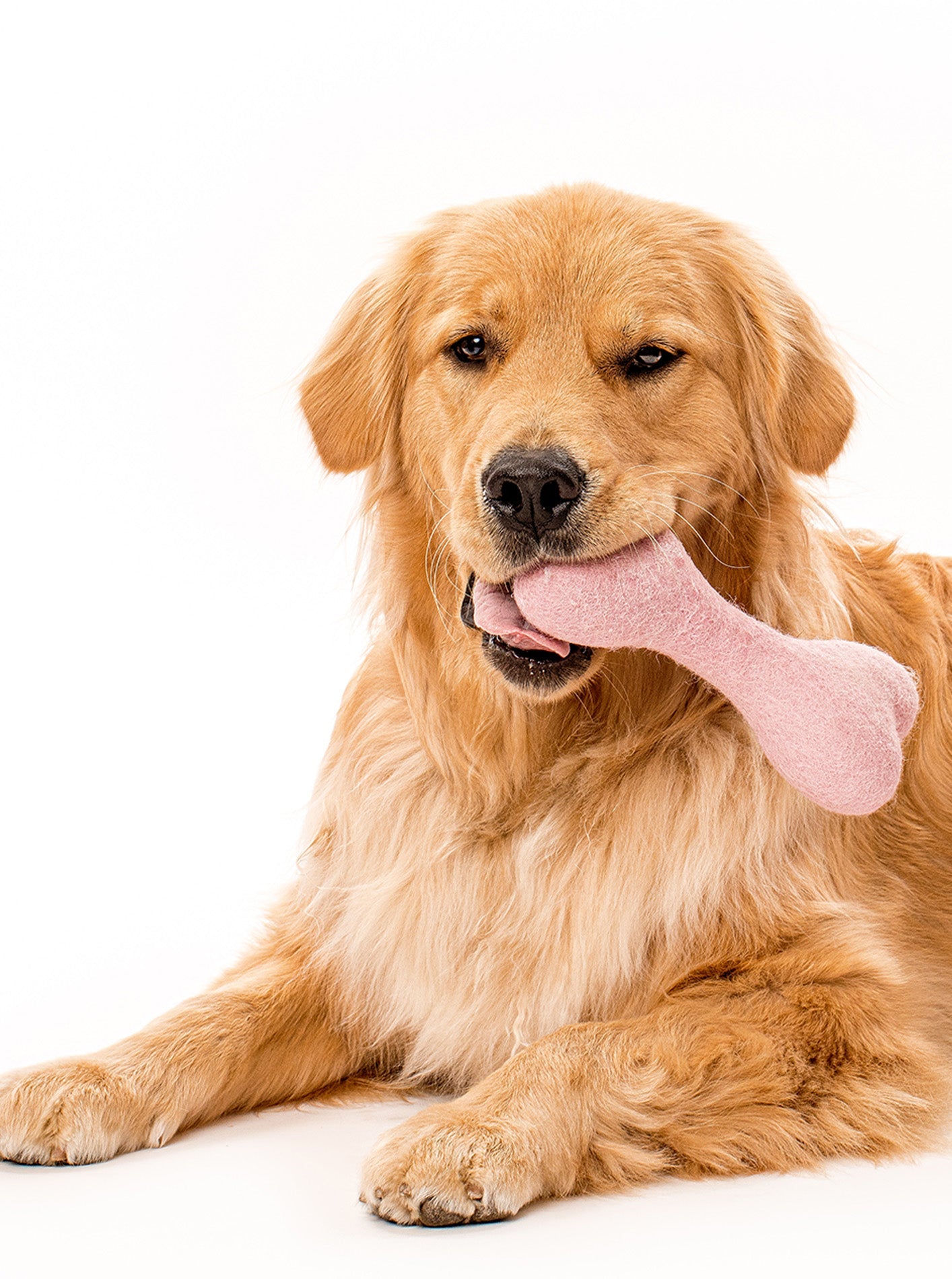 CLASSIC WOOLBONE DOG TOY