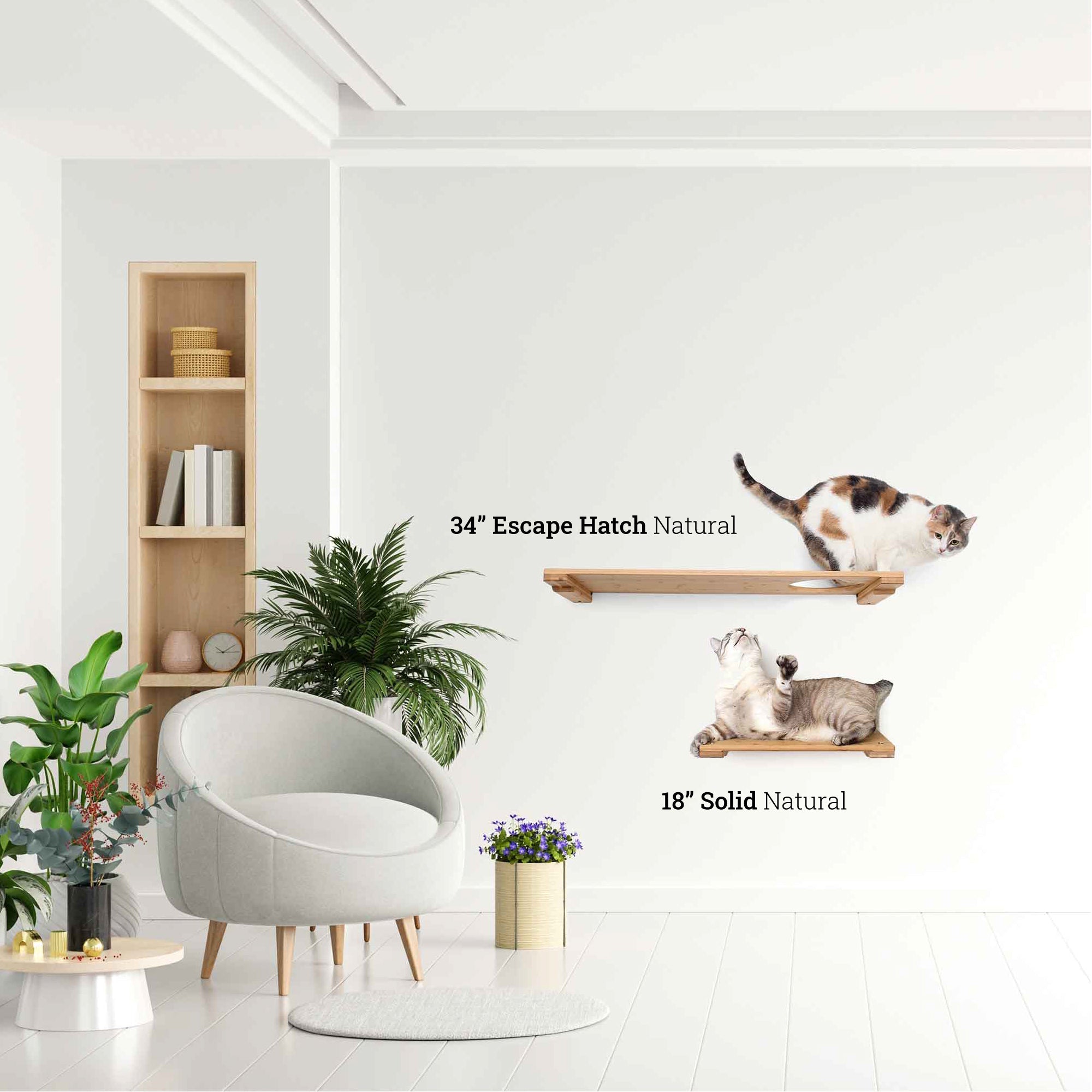 Wall Mounted Cat Shelf