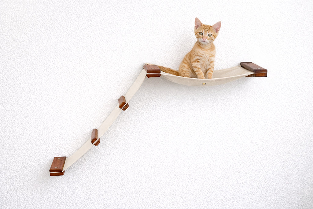 The Lift- Cat Hammock Bed