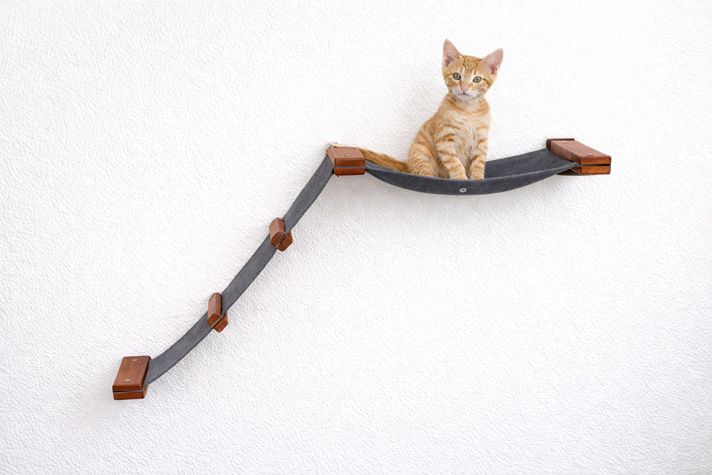 The Lift- Cat Hammock Bed