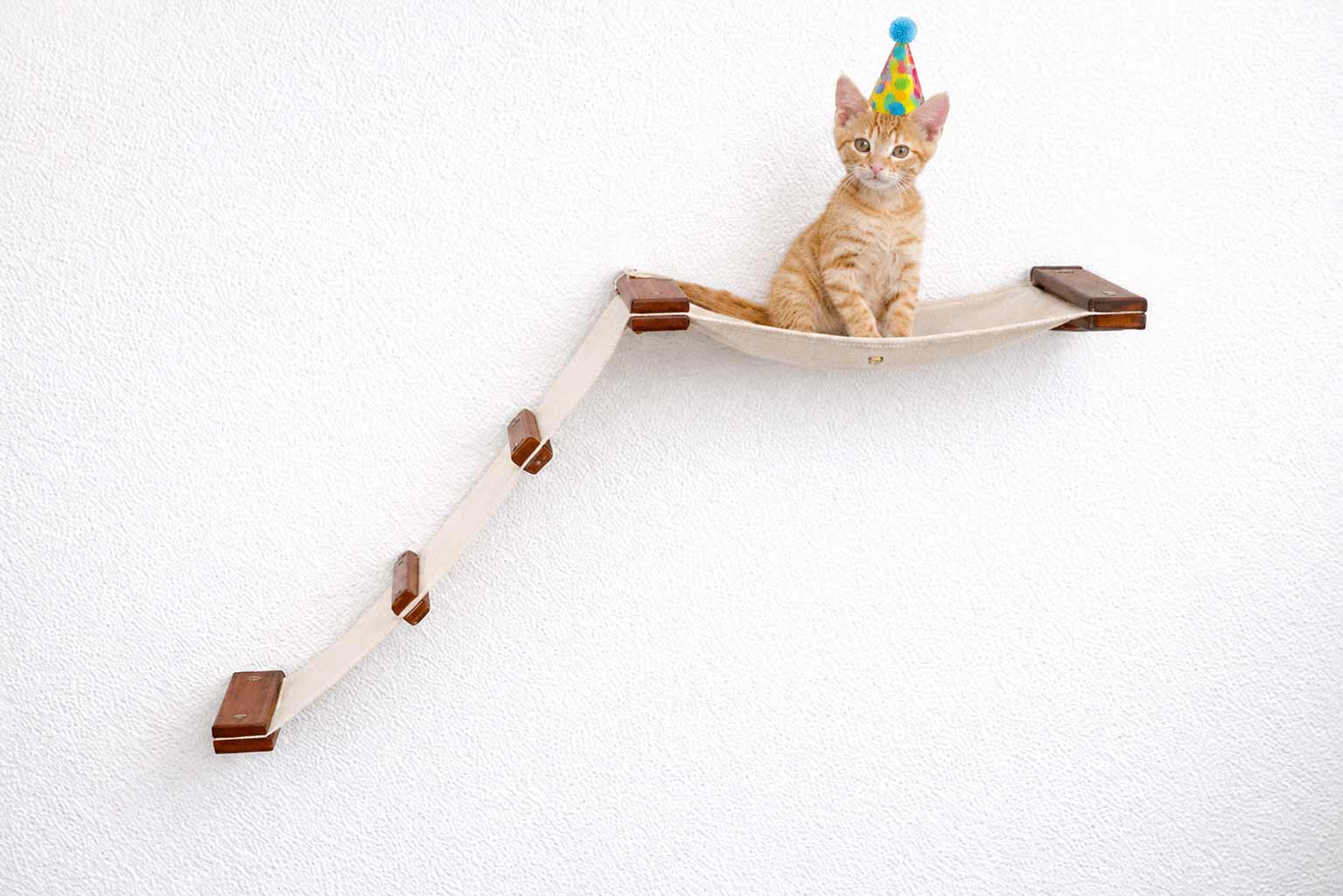 The Lift- Cat Hammock Bed