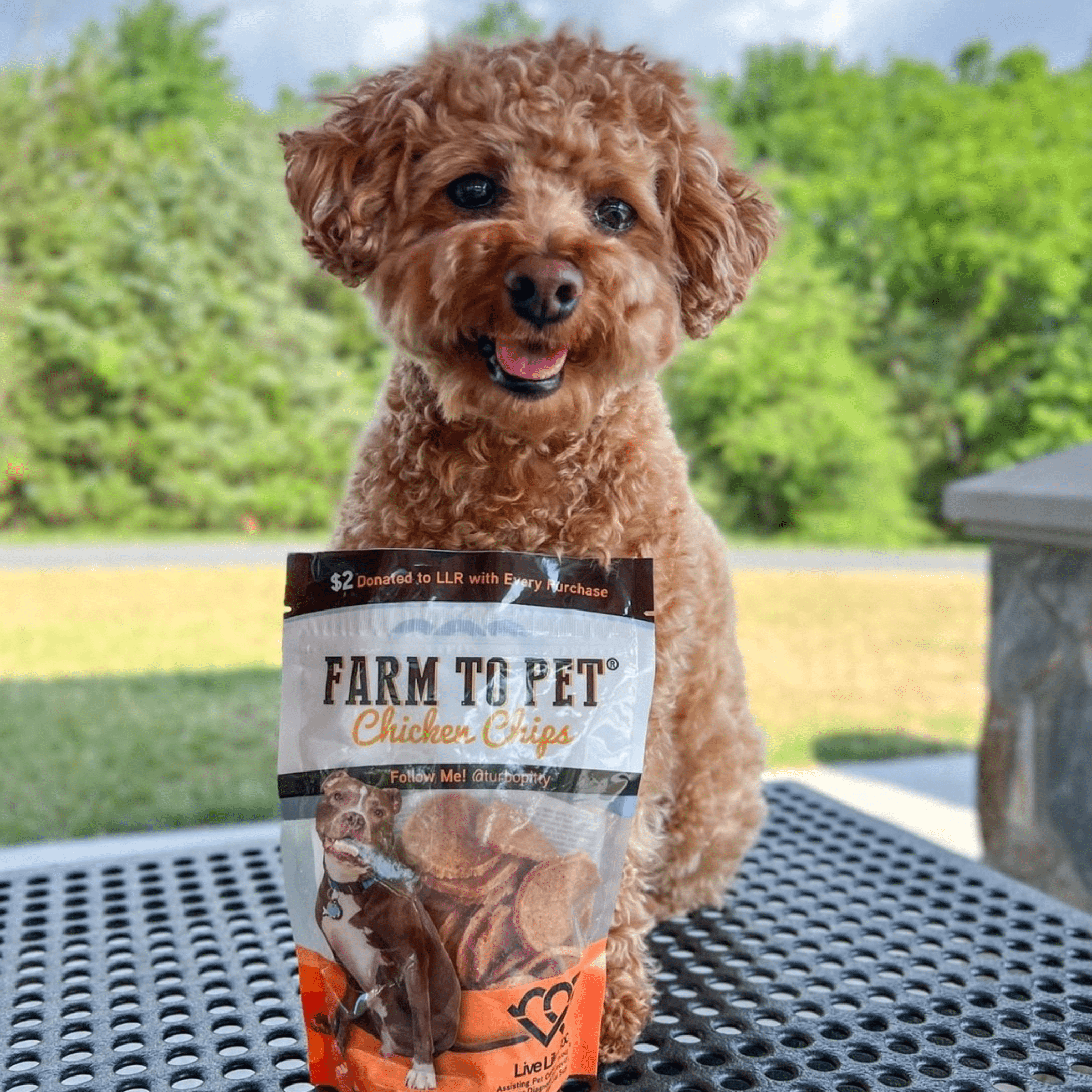 Farm To Pet Live Like Roo Chicken Chips