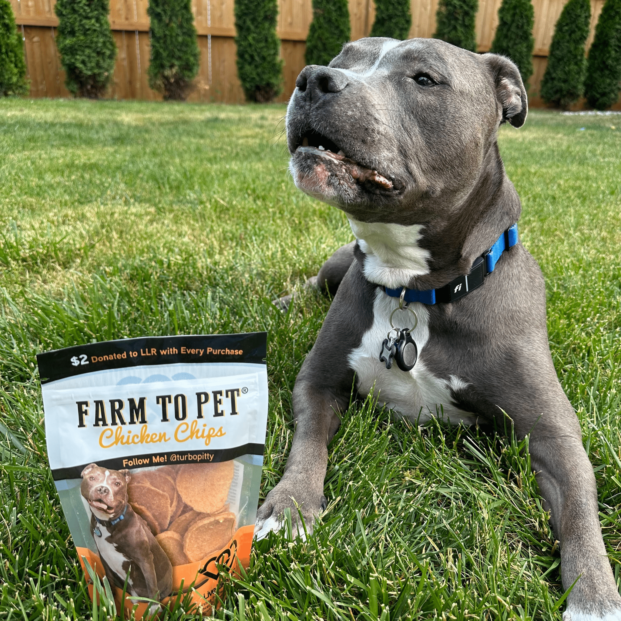 Farm To Pet Live Like Roo Chicken Chips