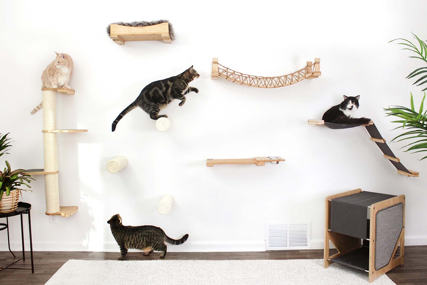 Cat Bridge for Wall