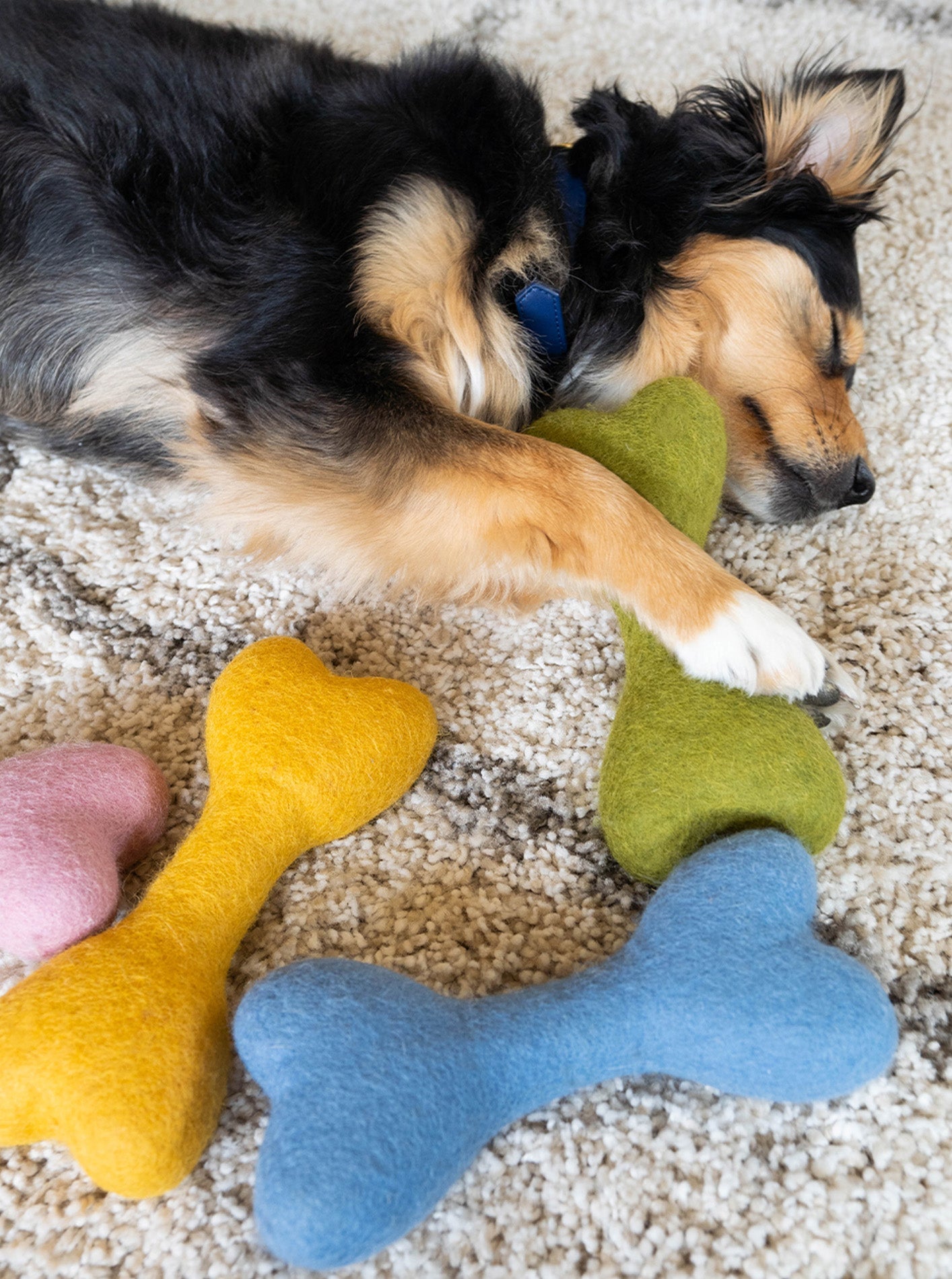 CLASSIC WOOLBONE DOG TOY