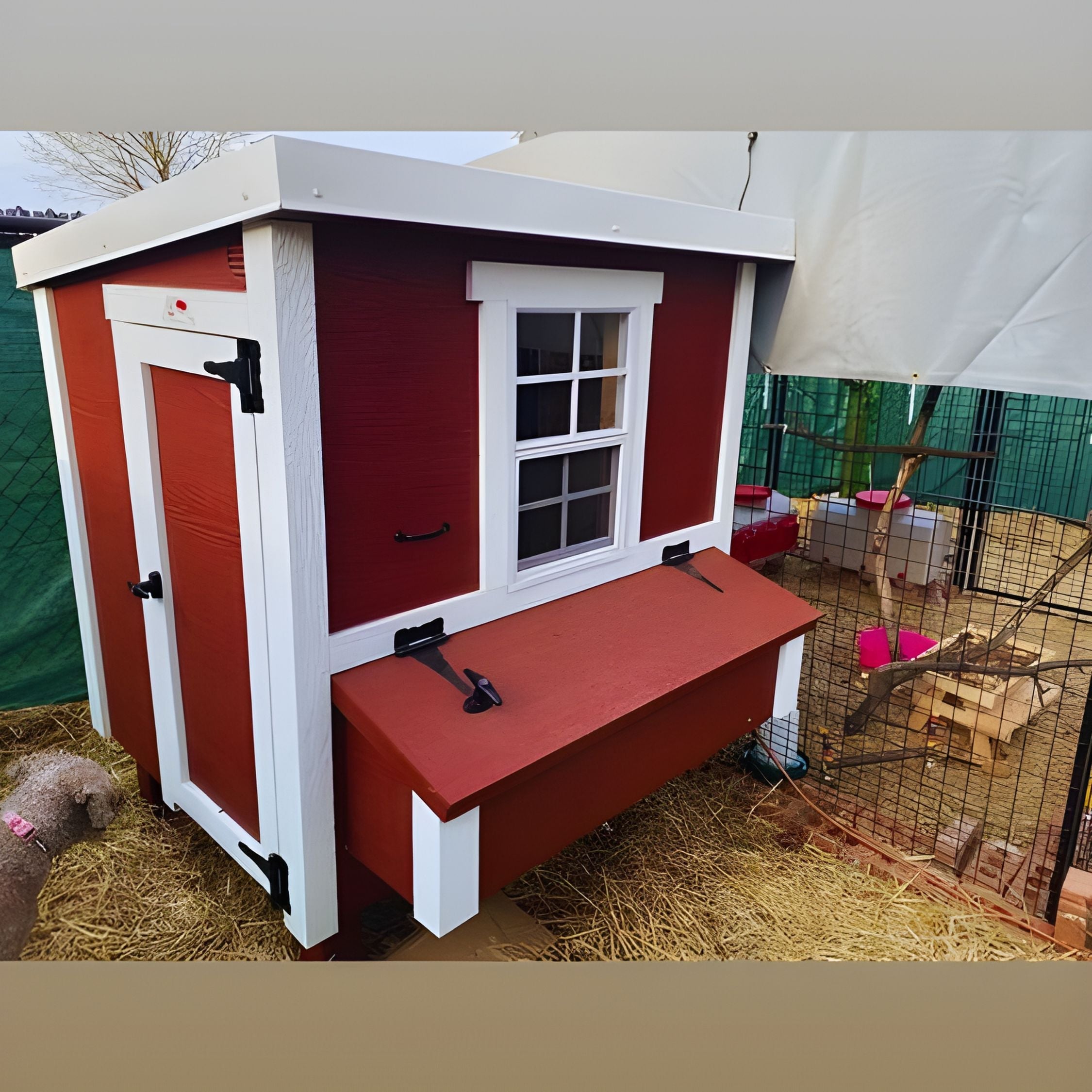 Medium Chicken Coop - Up to 10 Chickens