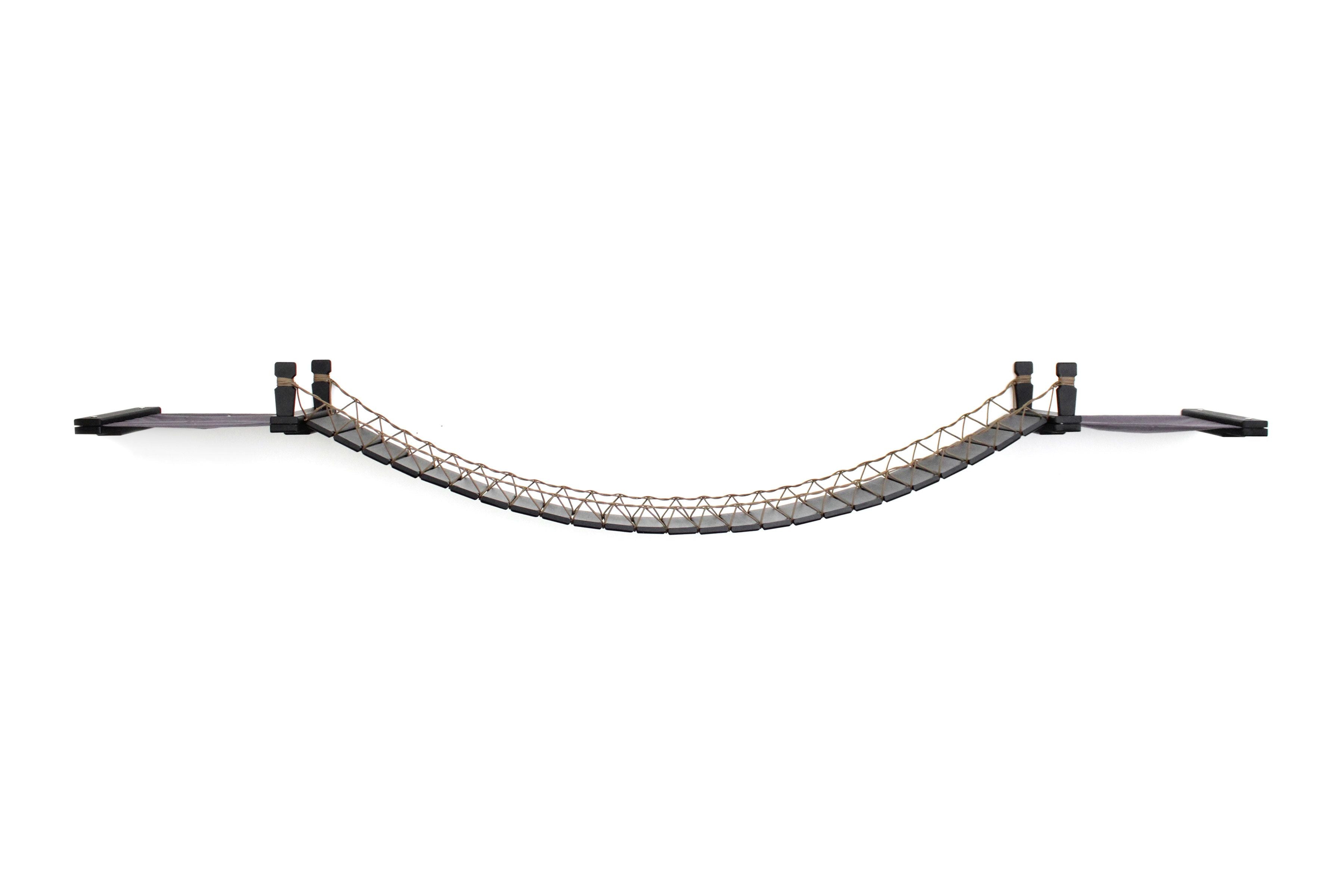 Double Cat Hammock and Climbing Bridge Combo