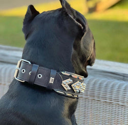 The ''Midas'' Collar Silver