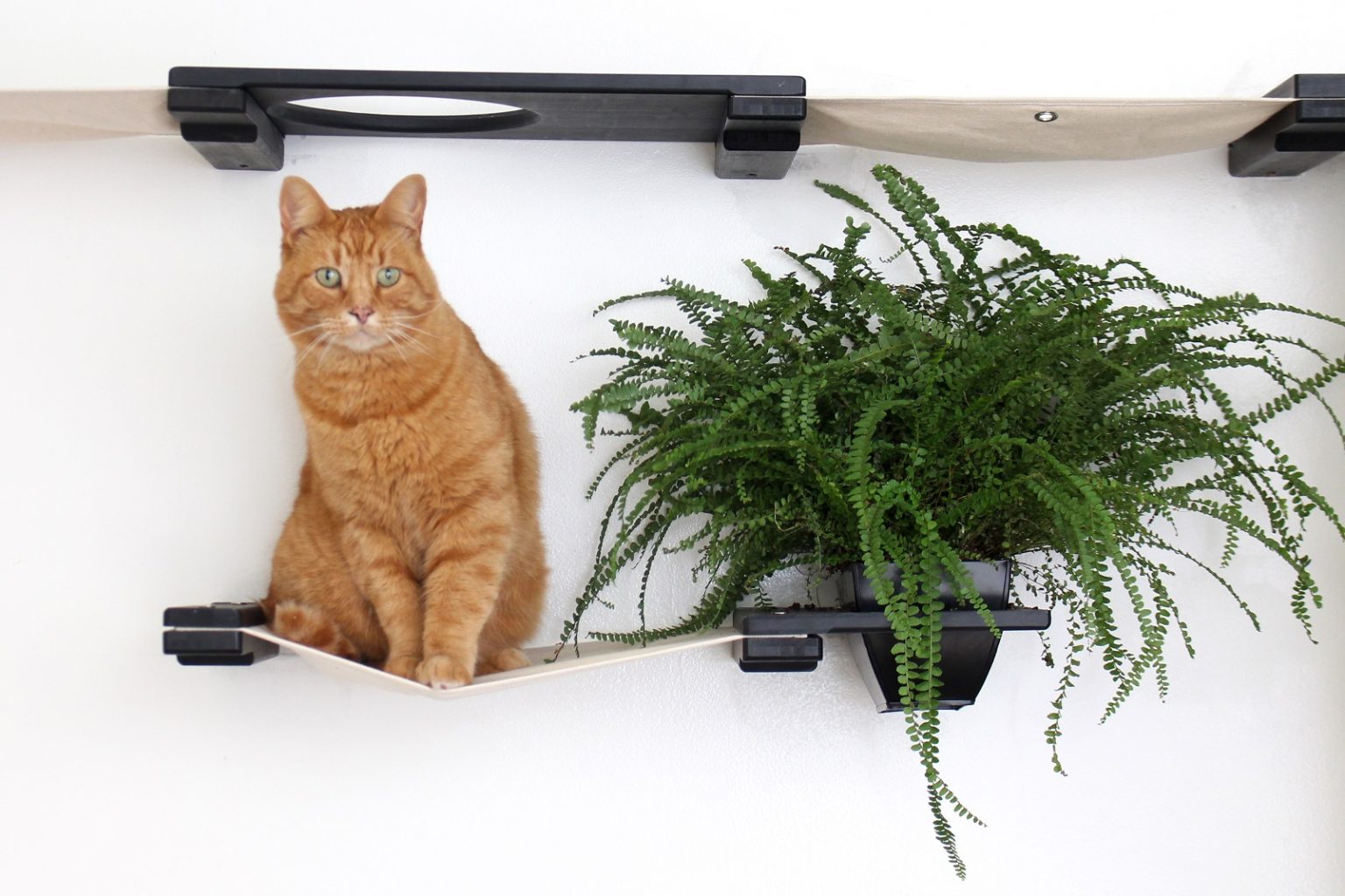 The Gardens - Modern Cat Tree with Plants