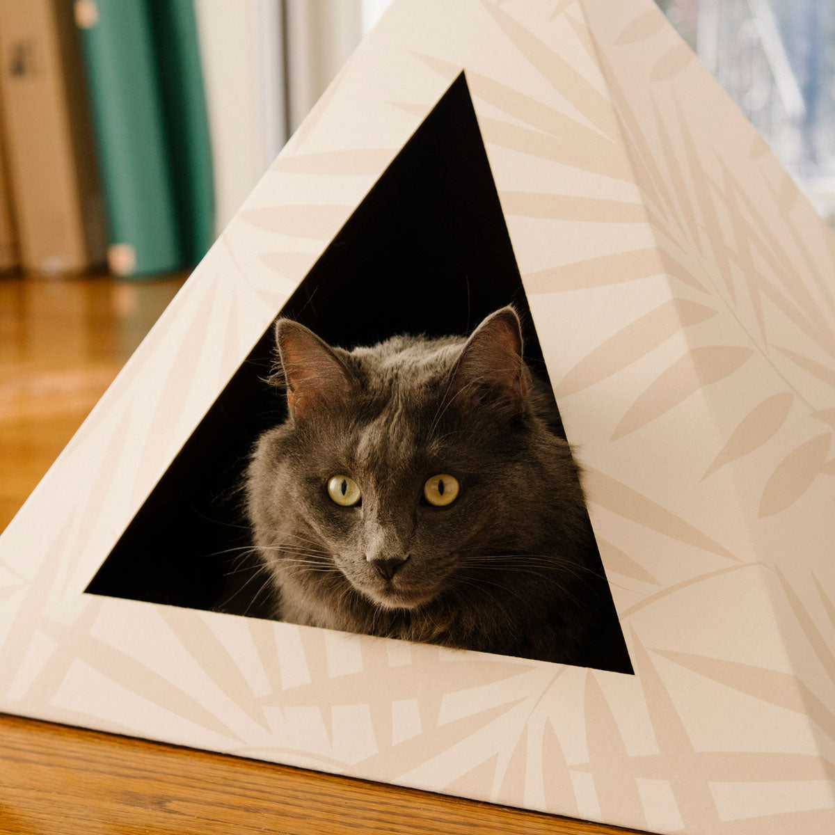 'Neutral Palm' Cardboard Cat Pyramid