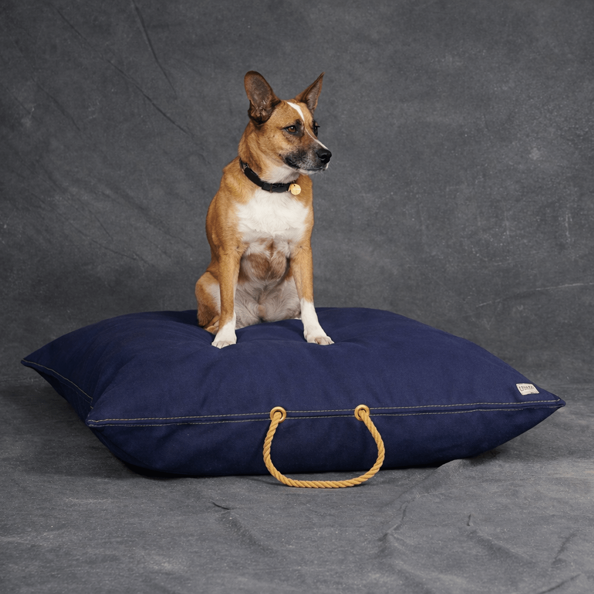 Navy Waxed Cotton Canvas Dog Bed