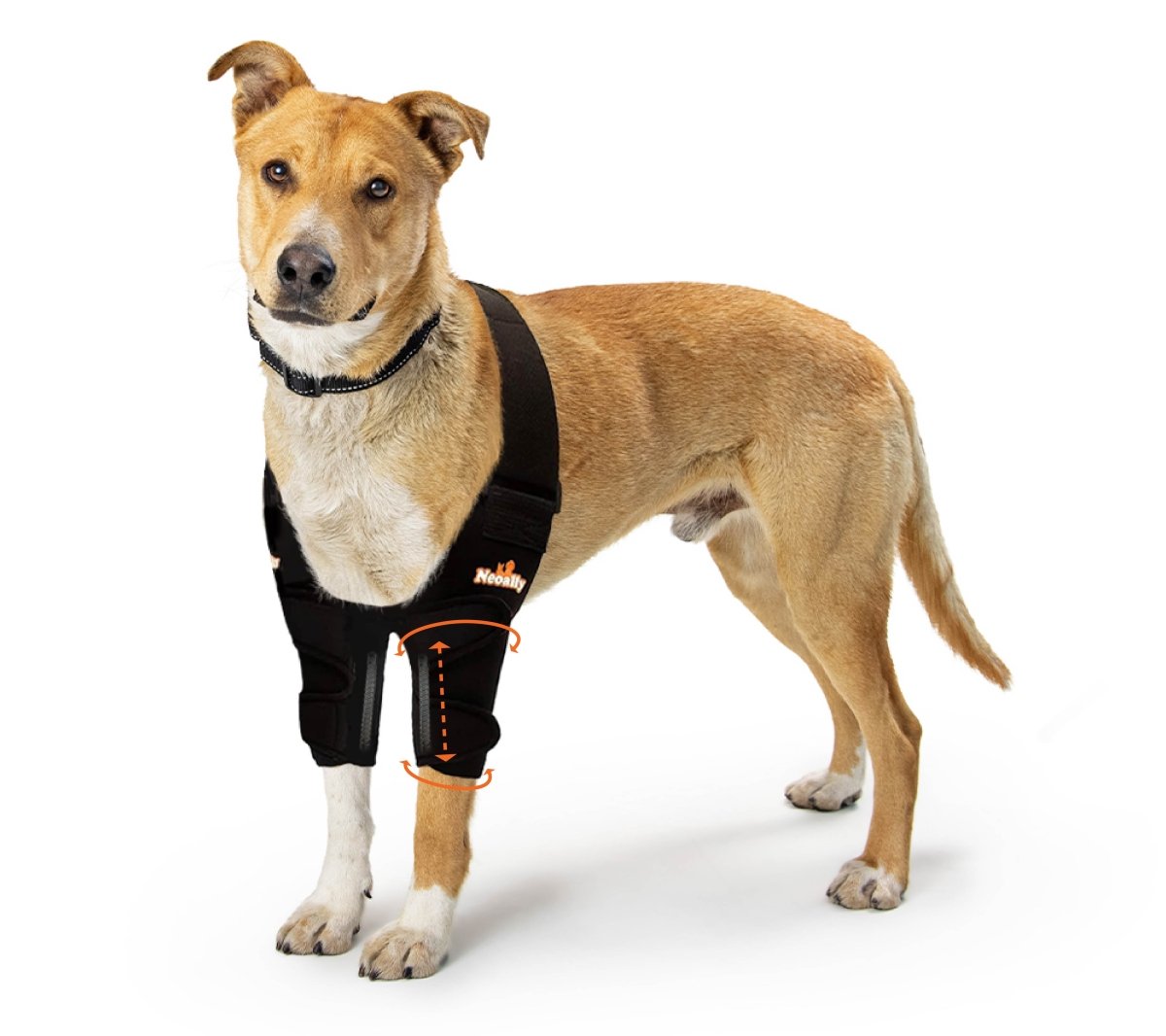NeoAlly Elbow and Shoulder Brace with Spring Inserts for Dogs and Cats