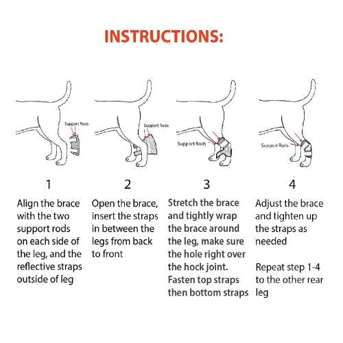 NeoAlly Rear Leg Hock Brace - Metal Spring Strips for Small Dogs [Shor