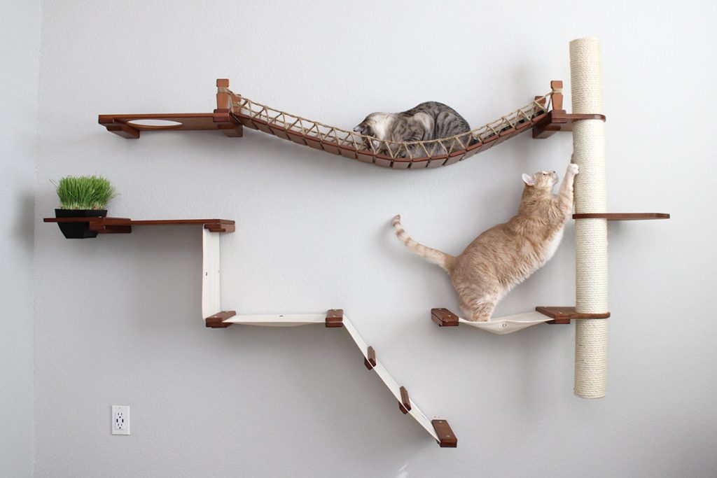 The Expedition - Cat Jungle Gym Wall System