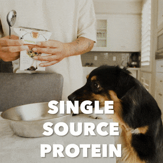 100% Human-Grade Dog Food