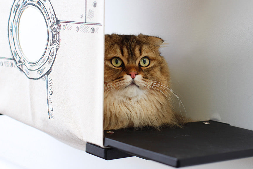 Cat Cubby for Wall - Covered Cat Bed