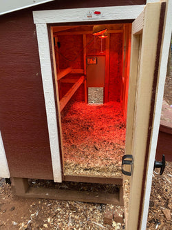 Automatic Chicken Coop Door