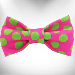 Polka Dot Dog Collars, Leads, and Bows - Neon - 4 Styles