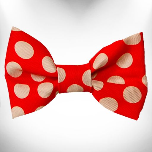 Polka Dot Dog Collars, Leads and Bows on Red - 3 Styles