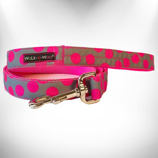 Polka Dot Dog Collars, Leads, and Bows - Neon - 4 Styles