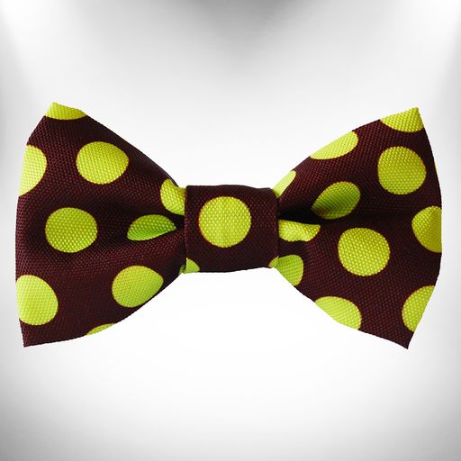 Walk-e-Woo Polka Dot Dog Collars, Leads, and Bows on Brown - 4 Styles