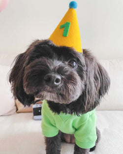 PAWTY HAT - Green number