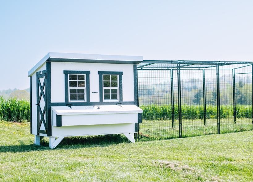 Large Chicken Coop - Up to 15 Chickens