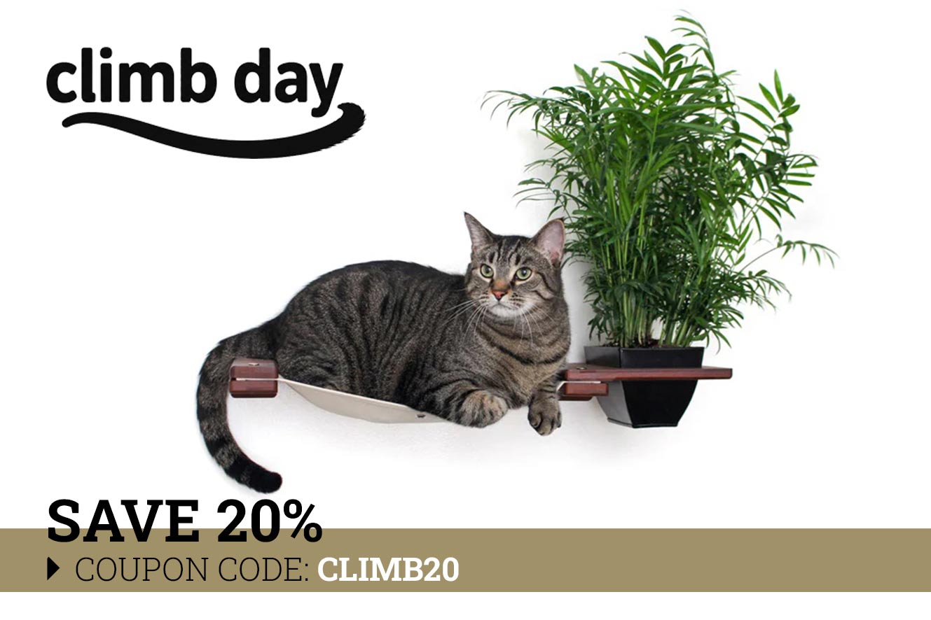 Cat Hammock Wall with Planter