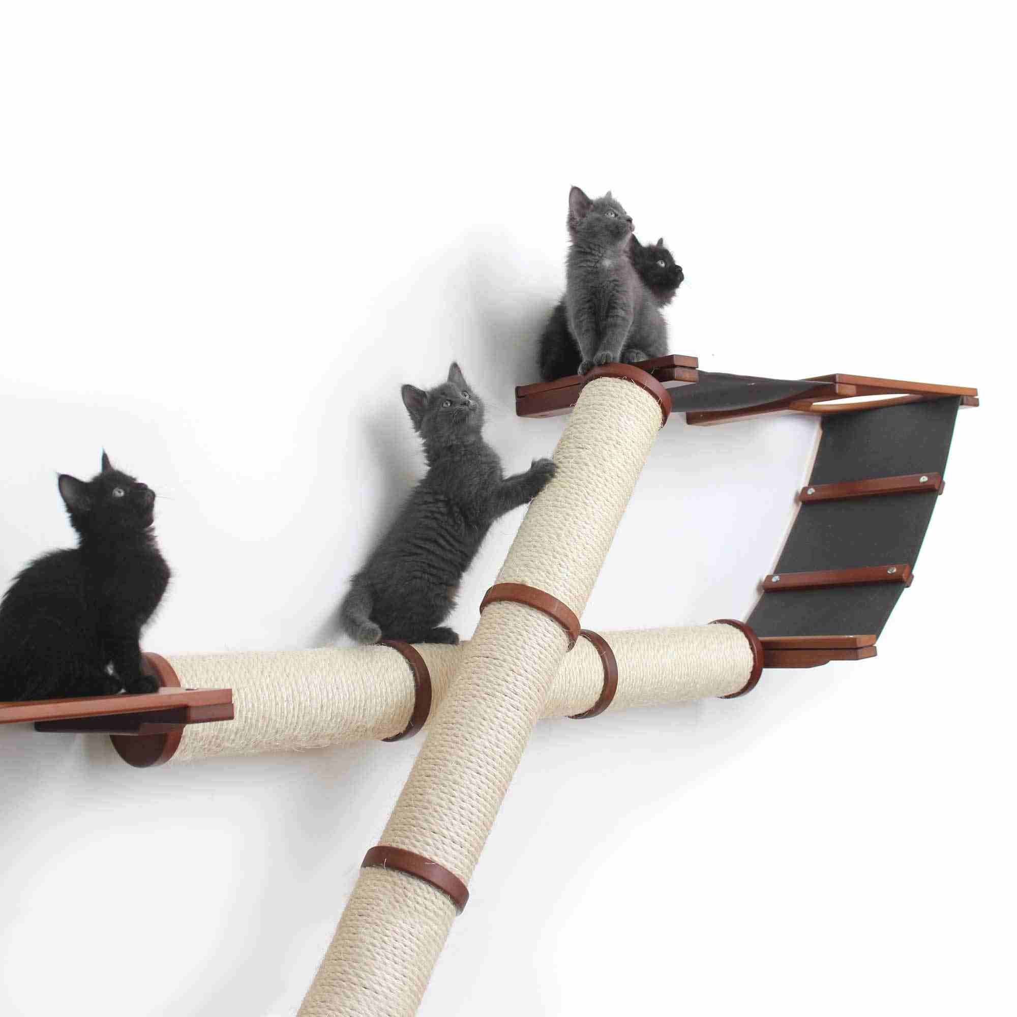 The Plateau - Horizontal Cat Scratcher Bed Set