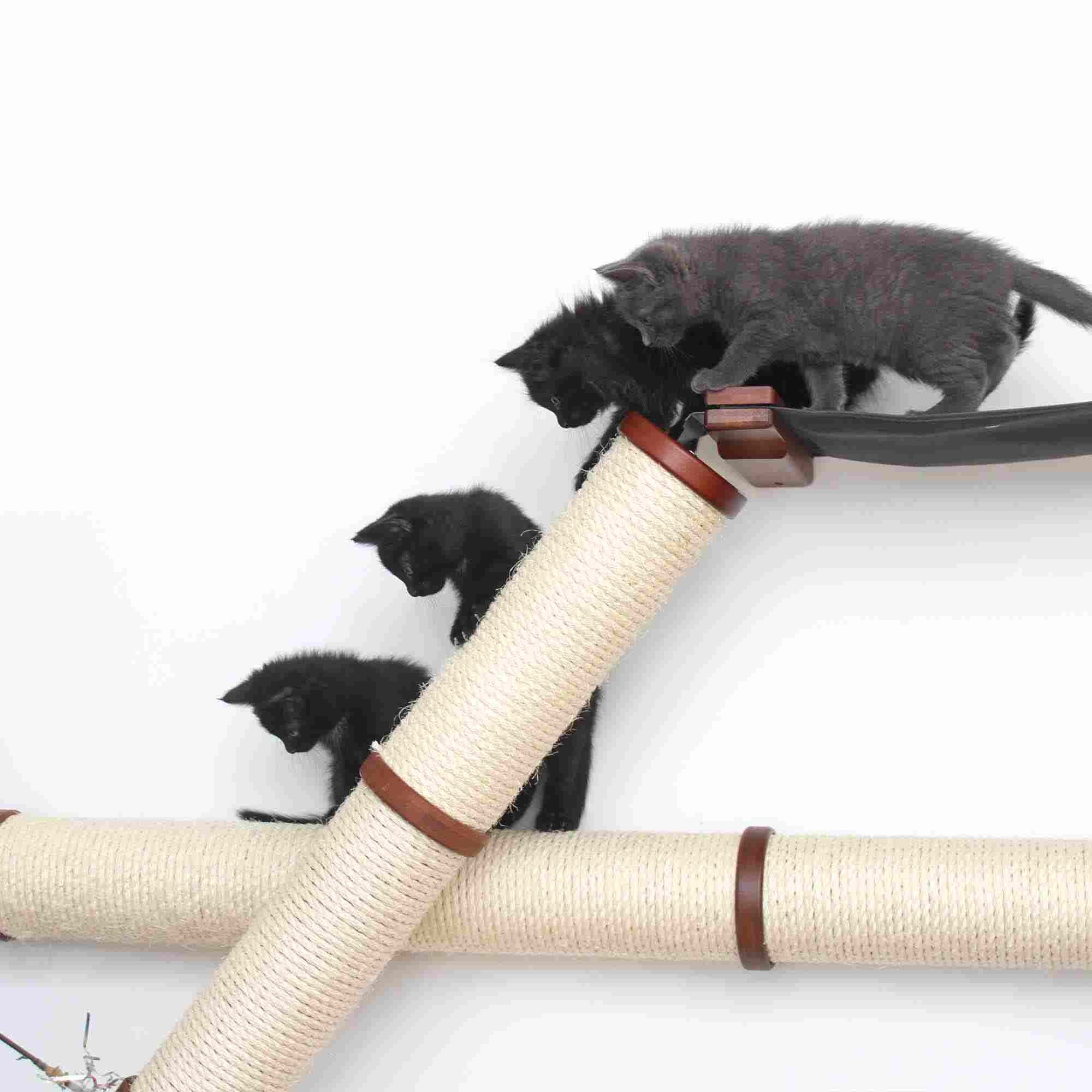 The Plateau - Horizontal Cat Scratcher Bed Set