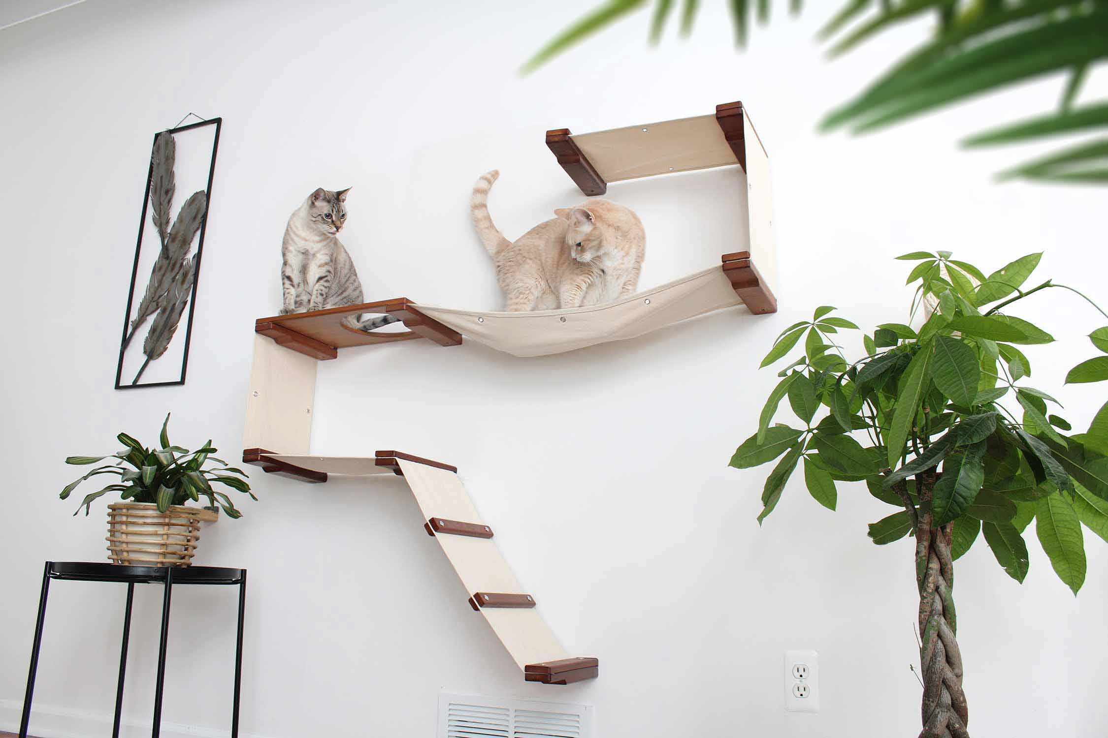 The Play - A Cat Play Wall System