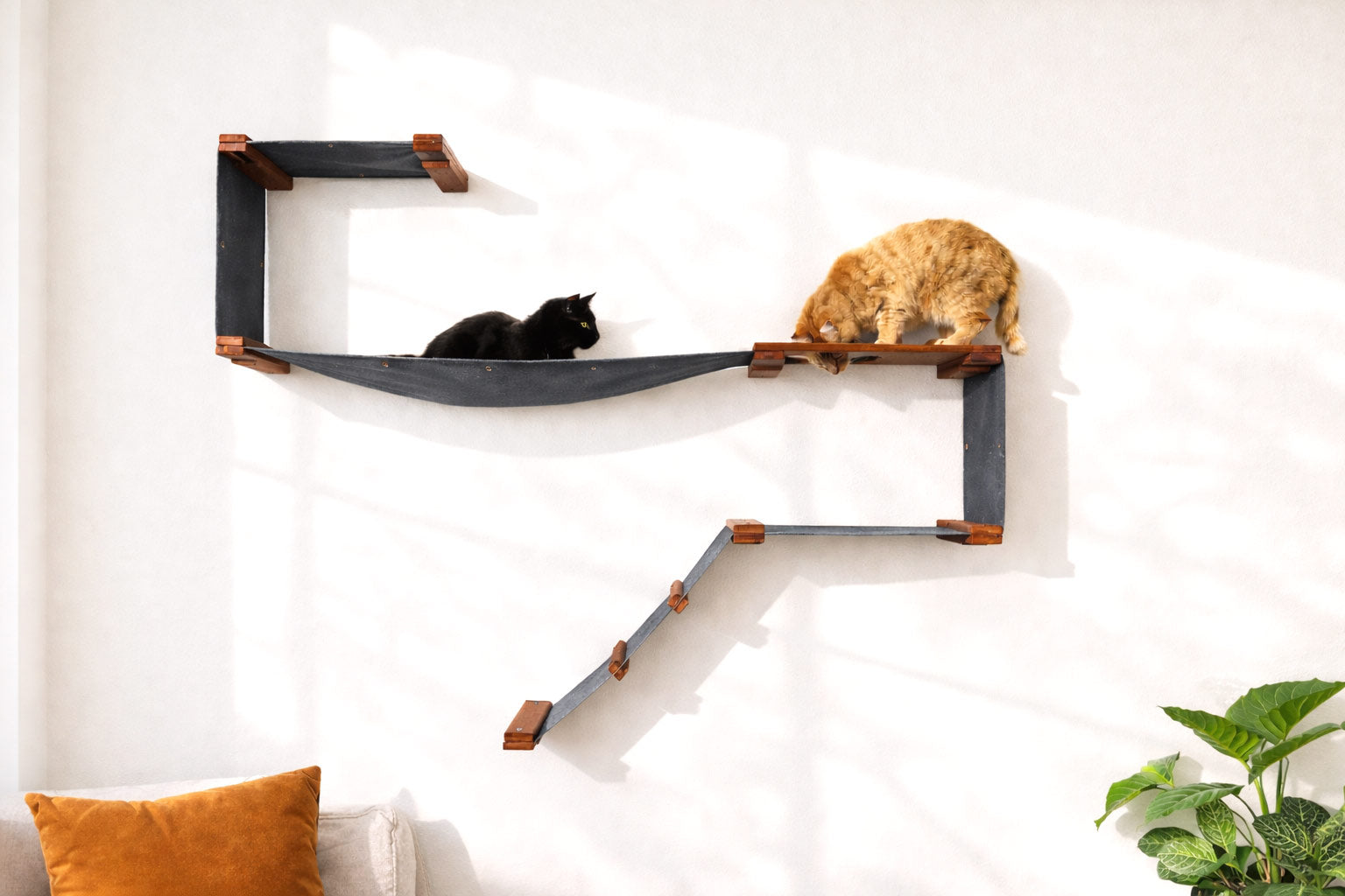 The Play - A Cat Play Wall System