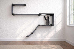 The Play - A Cat Play Wall System