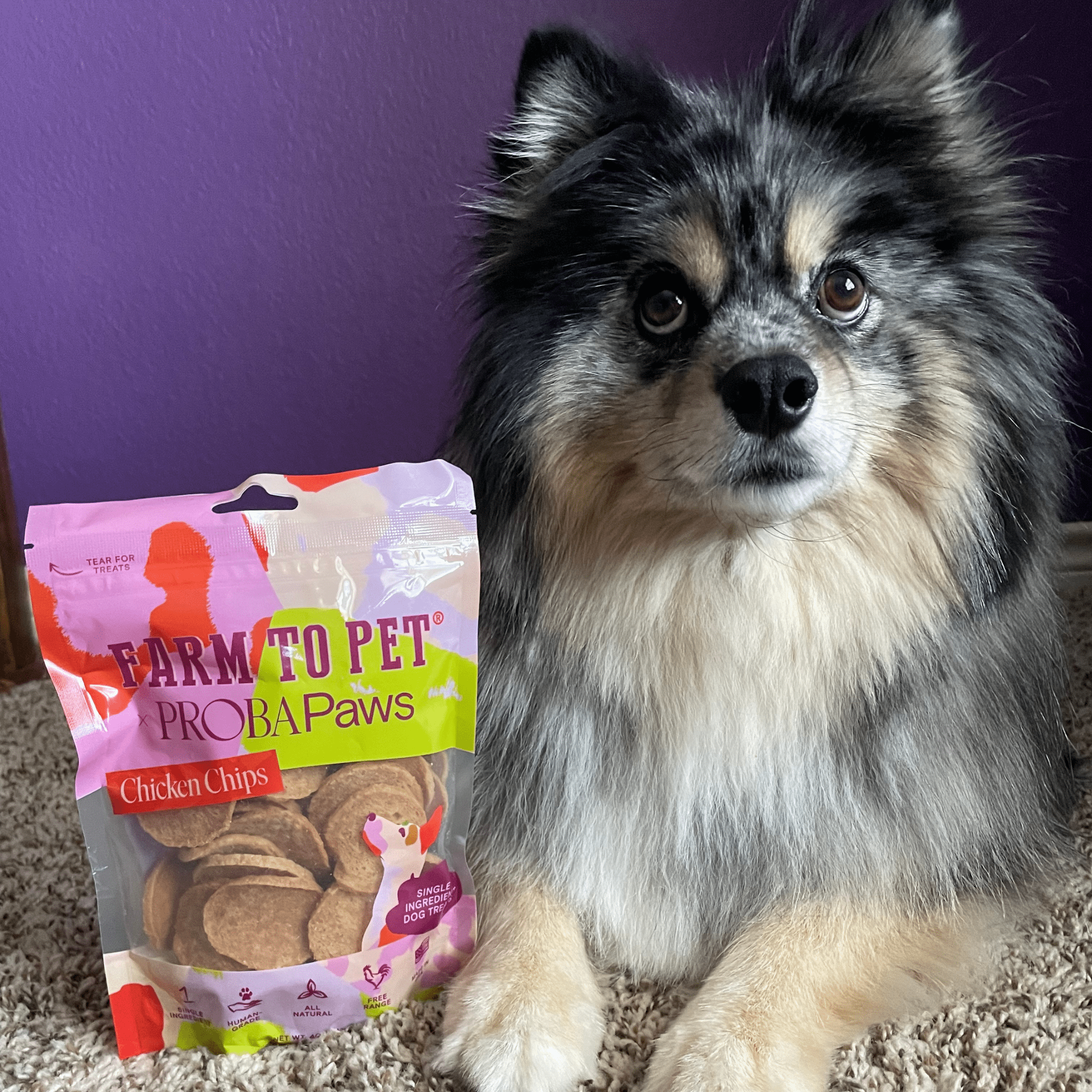 Farm To Pet ProbaPaws Chicken Chips for Dogs (4oz)