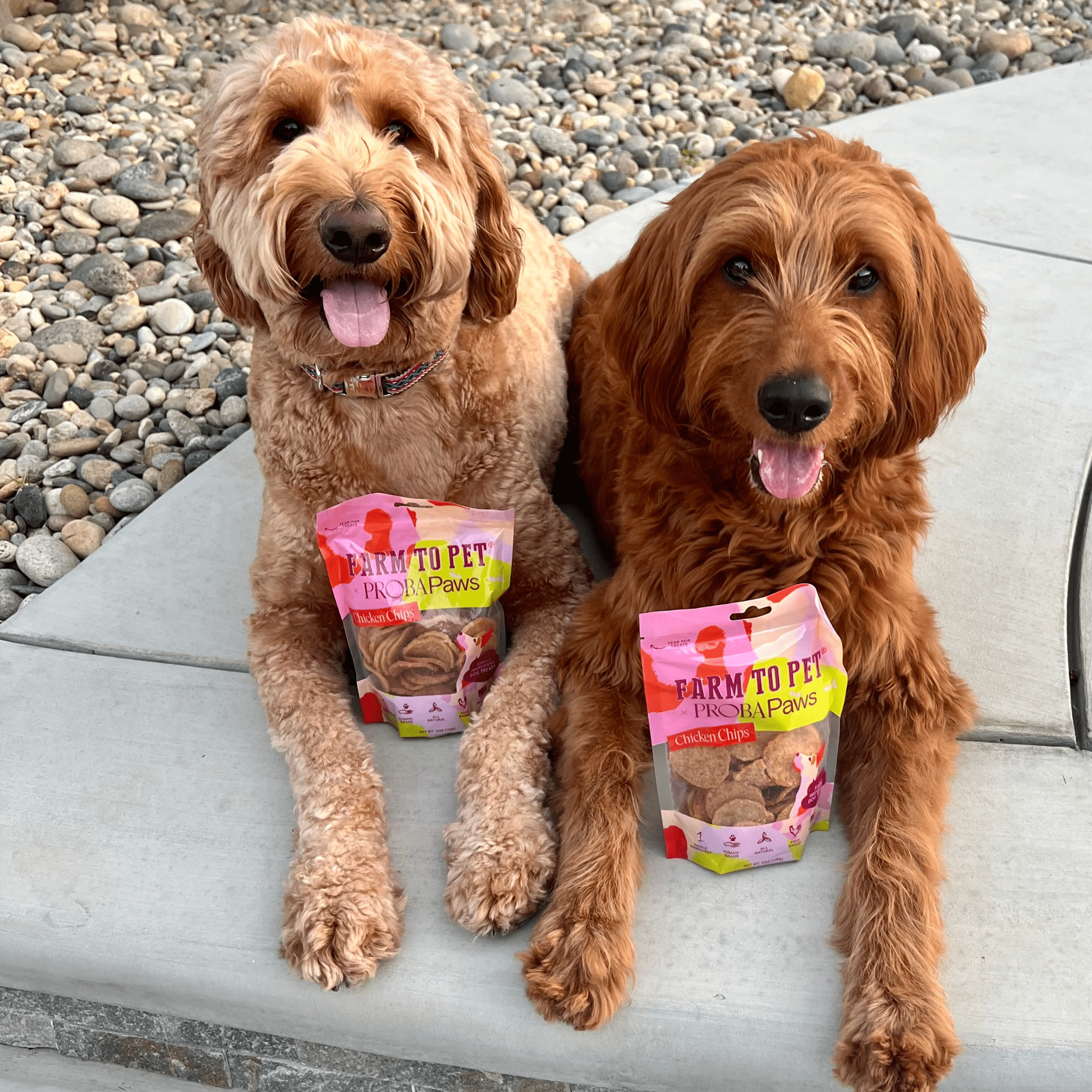 Farm To Pet ProbaPaws Chicken Chips for Dogs (4oz)