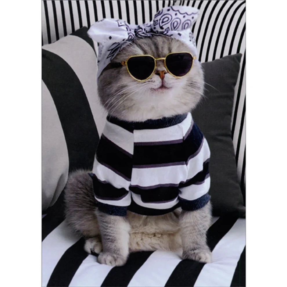 Avanti Bandana Cat Greeting Card