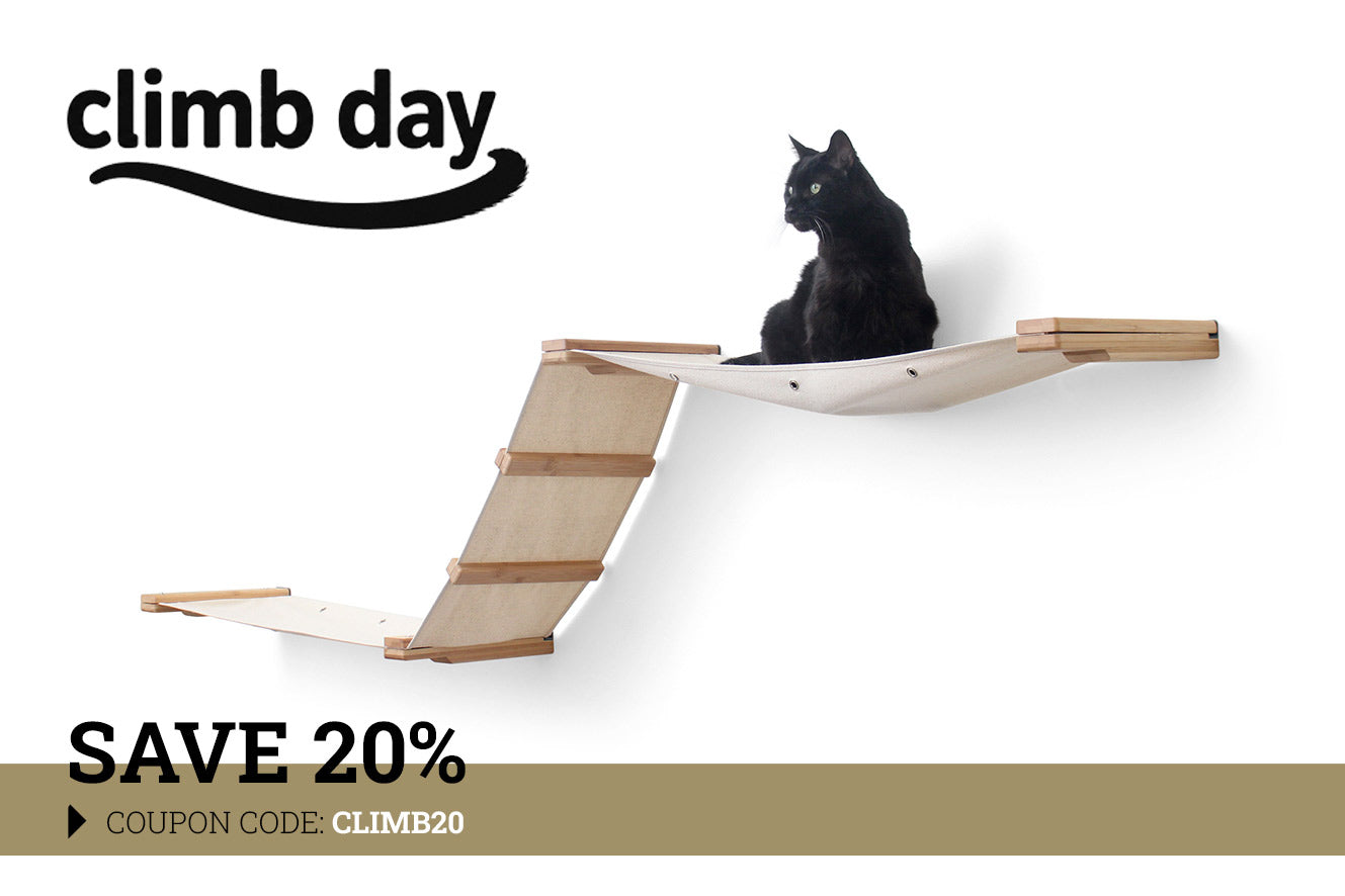 The Raceway - Wall Mounted Cat Hammock