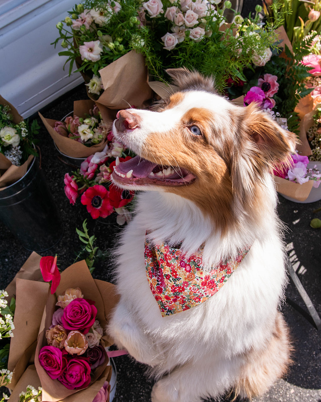 FLORAL BANDANA